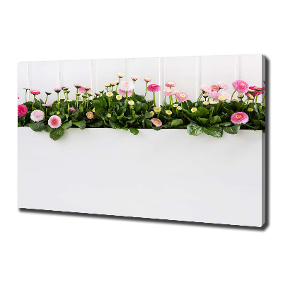 Canvas wall art Pink daisies