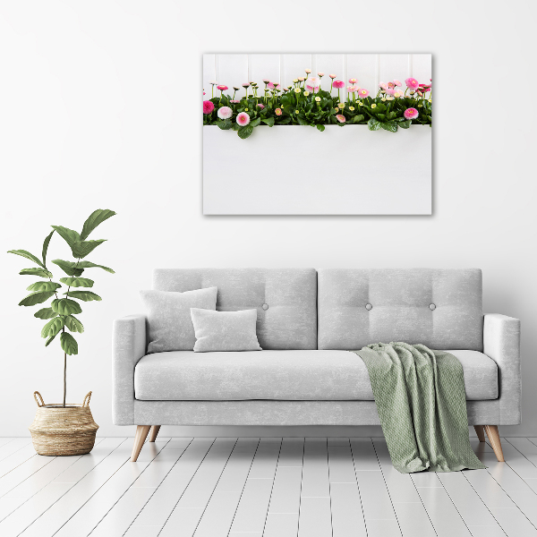 Canvas wall art Pink daisies