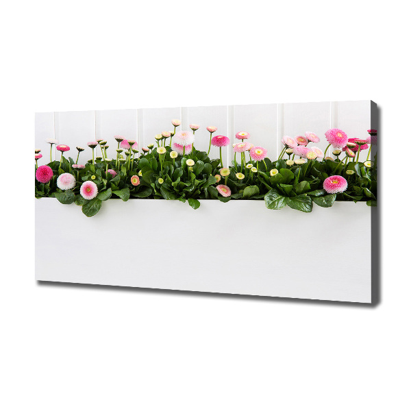 Canvas wall art Pink daisies