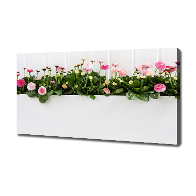 Canvas wall art Pink daisies