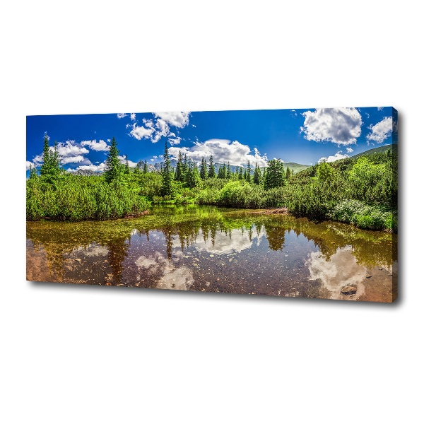 Canvas wall art Lake in the forest