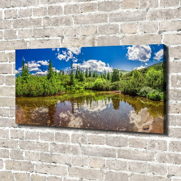 Canvas wall art Lake in the forest