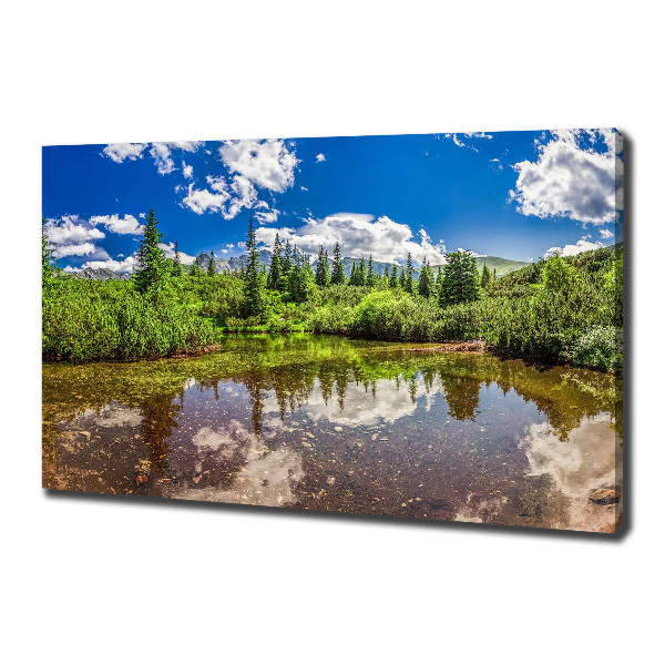 Canvas wall art Lake in the forest