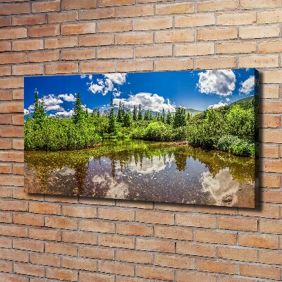 Canvas wall art Lake in the forest