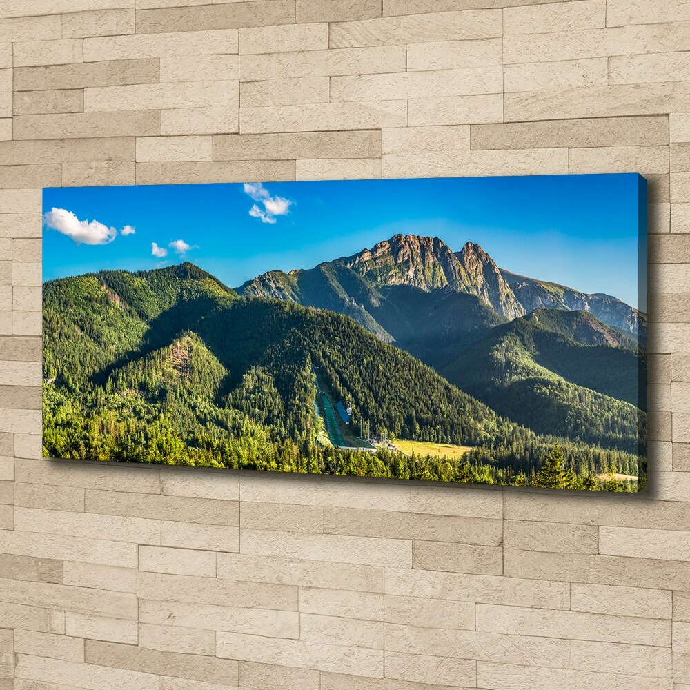 Canvas wall art Panorama of the Tatra Mountains