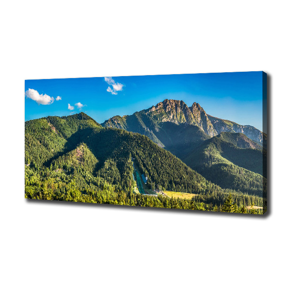 Canvas wall art Panorama of the Tatra Mountains