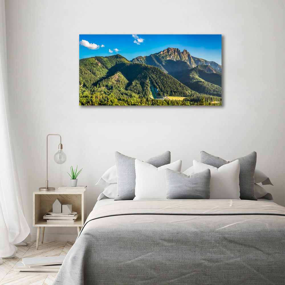 Canvas wall art Panorama of the Tatra Mountains