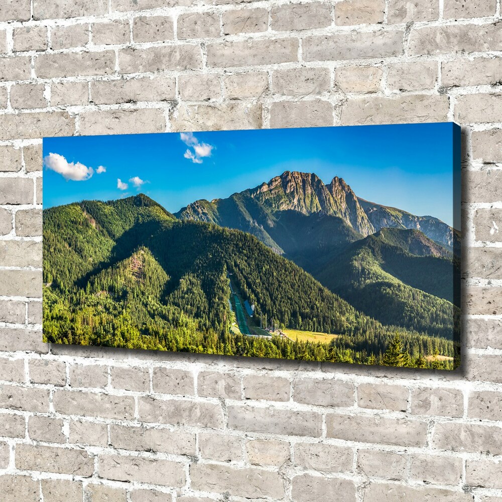 Canvas wall art Panorama of the Tatra Mountains