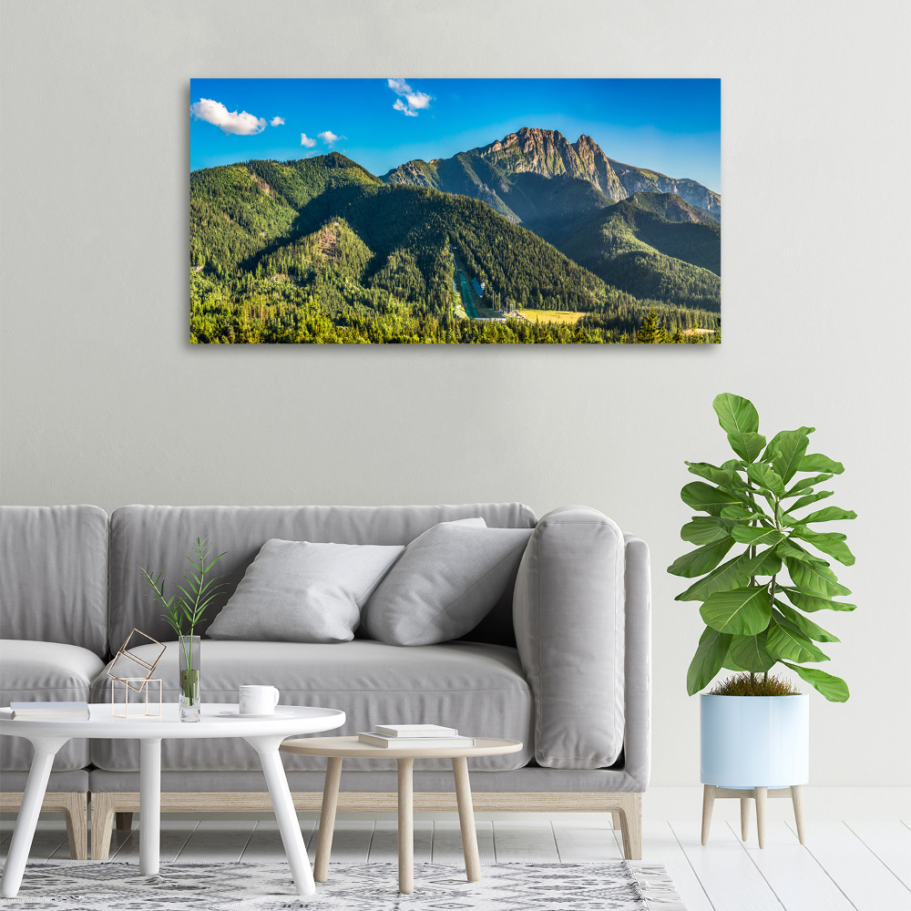 Canvas wall art Panorama of the Tatra Mountains