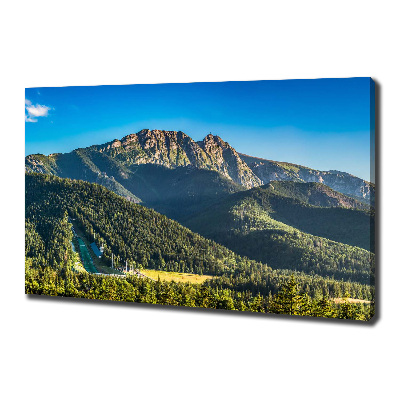 Canvas wall art Panorama of the Tatra Mountains