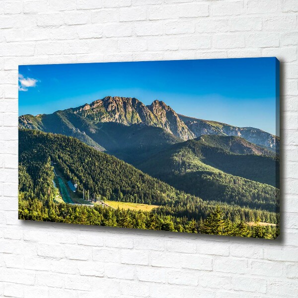 Canvas wall art Panorama of the Tatra Mountains