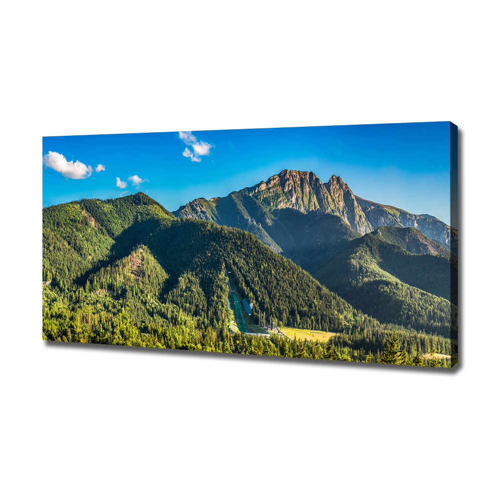 Canvas wall art Panorama of the Tatra Mountains