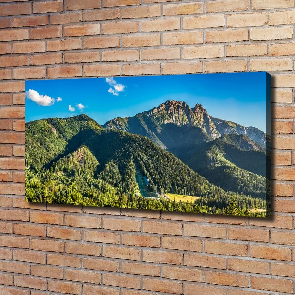 Canvas wall art Panorama of the Tatra Mountains