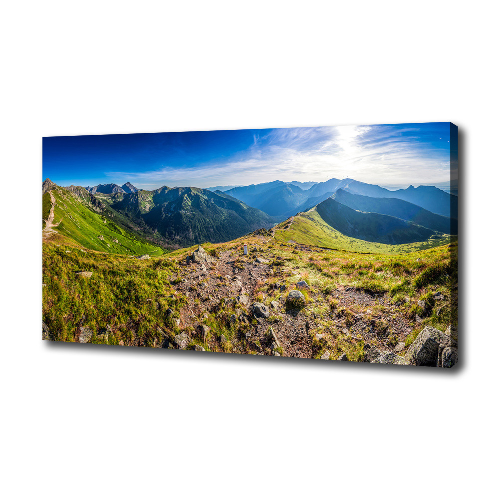 Canvas wall art Mountain panorama