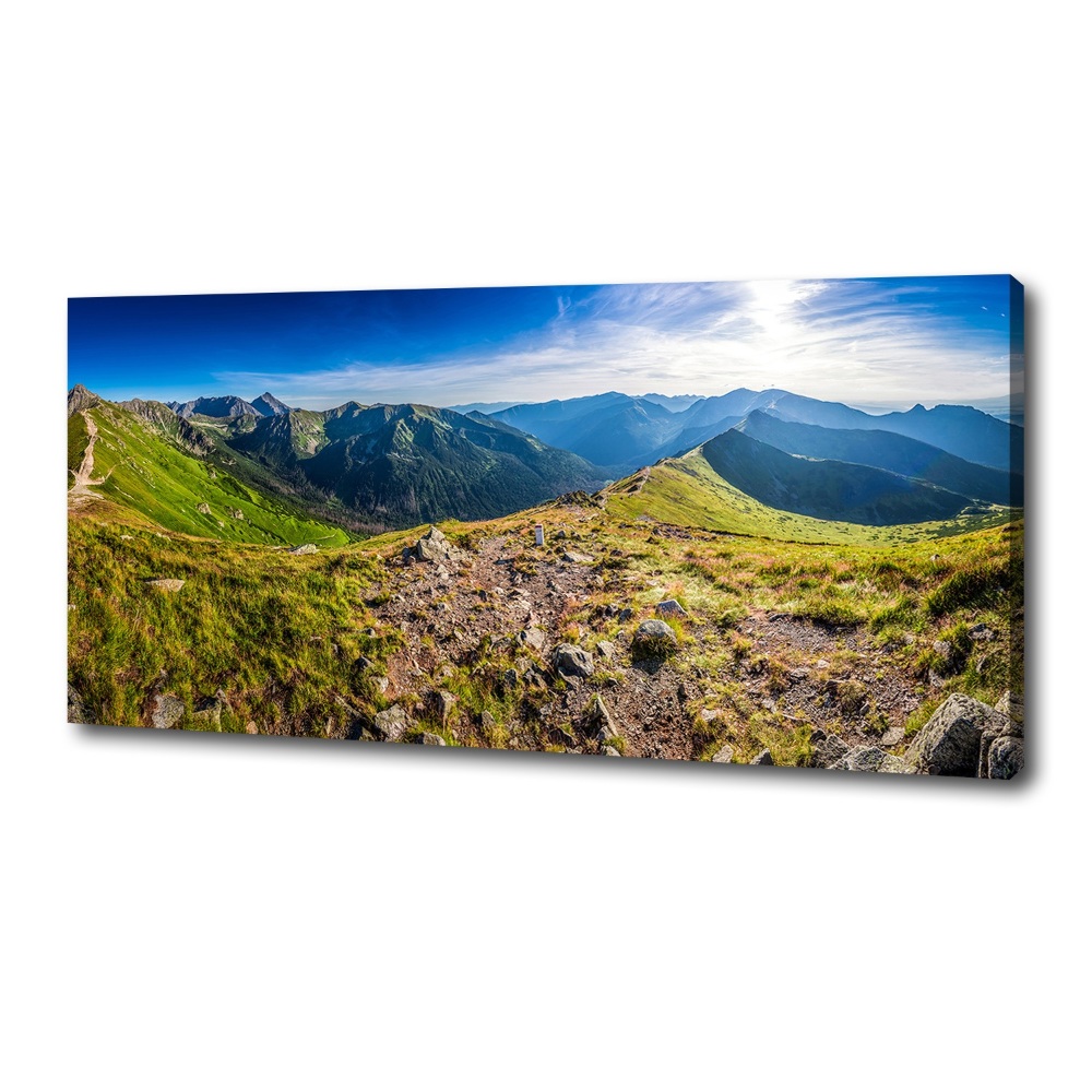 Canvas wall art Mountain panorama