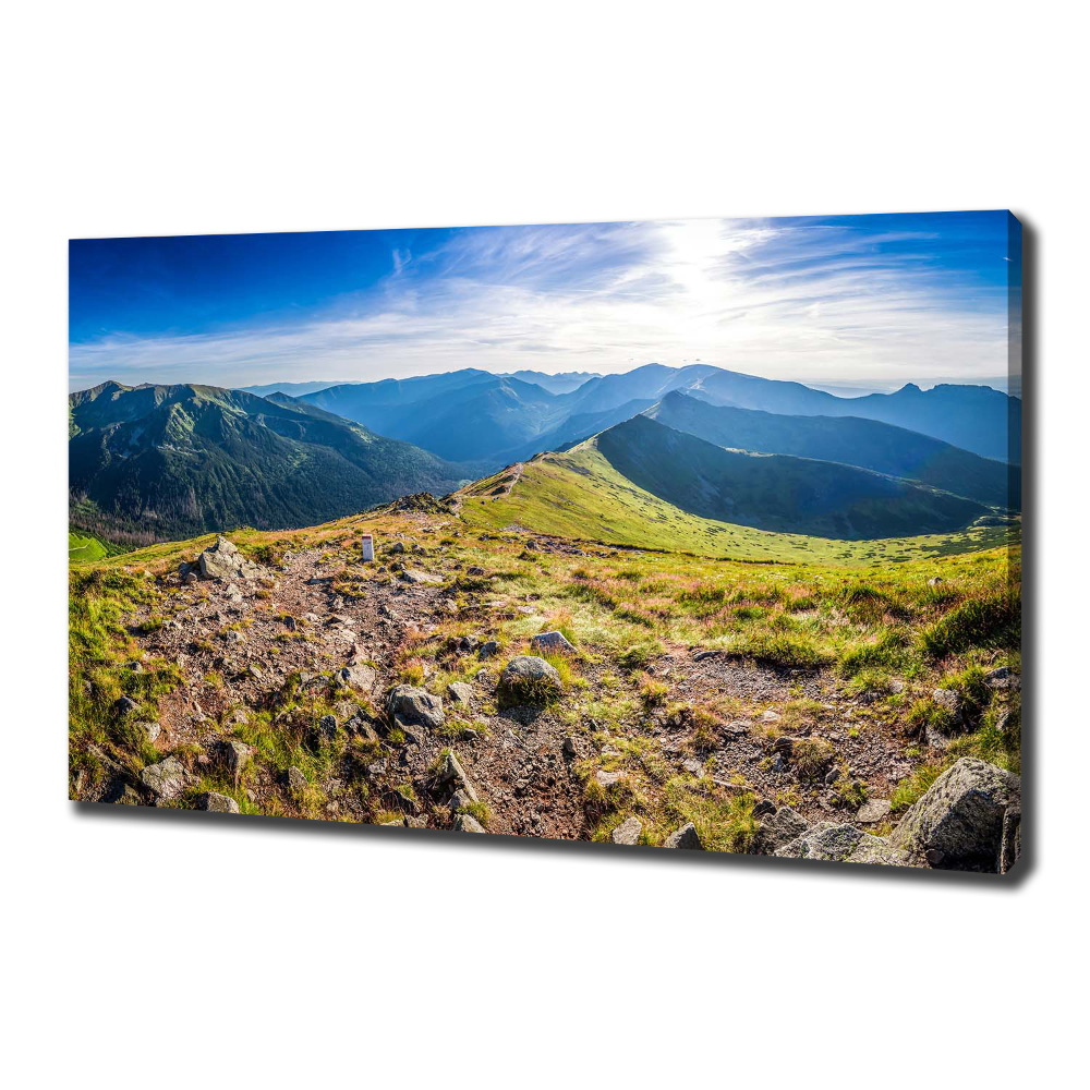 Canvas wall art Mountain panorama