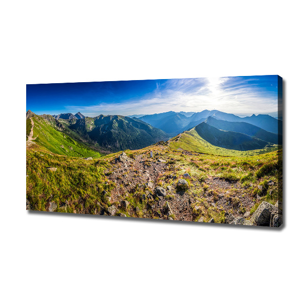 Canvas wall art Mountain panorama