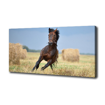 Canvas wall art Horse at a gallop