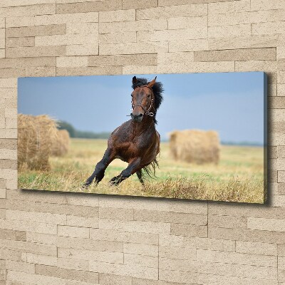 Canvas wall art Horse at a gallop