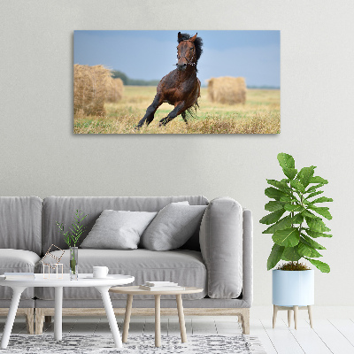 Canvas wall art Horse at a gallop