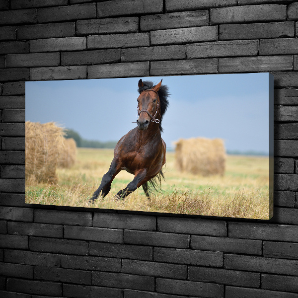 Canvas wall art Horse at a gallop