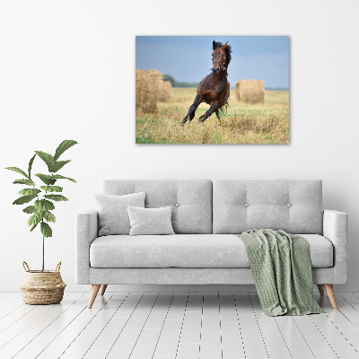 Canvas wall art Horse at a gallop