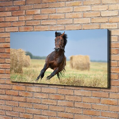 Canvas wall art Horse at a gallop