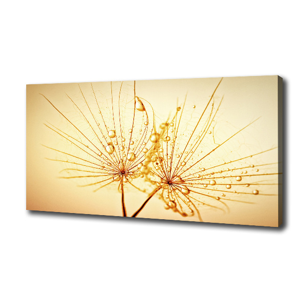 Canvas wall art Dandelion seeds