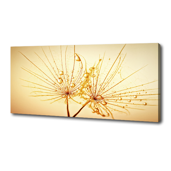 Canvas wall art Dandelion seeds