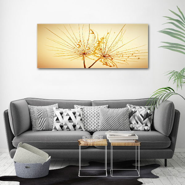 Canvas wall art Dandelion seeds