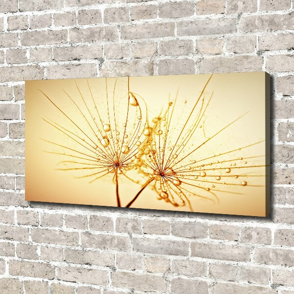 Canvas wall art Dandelion seeds