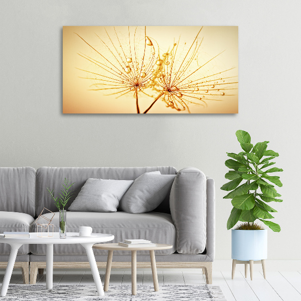 Canvas wall art Dandelion seeds