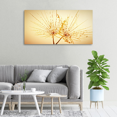 Canvas wall art Dandelion seeds