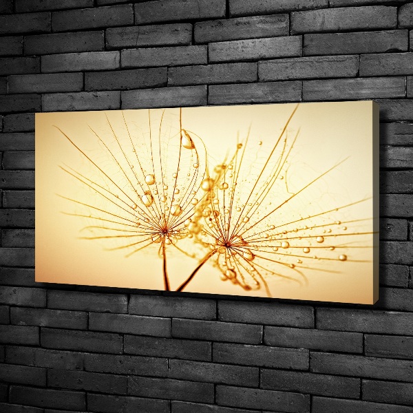 Canvas wall art Dandelion seeds