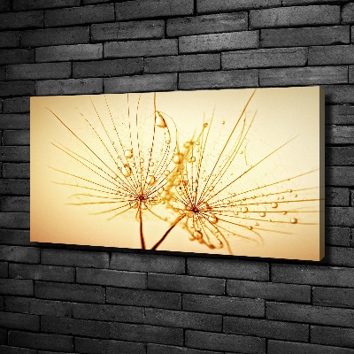 Canvas wall art Dandelion seeds