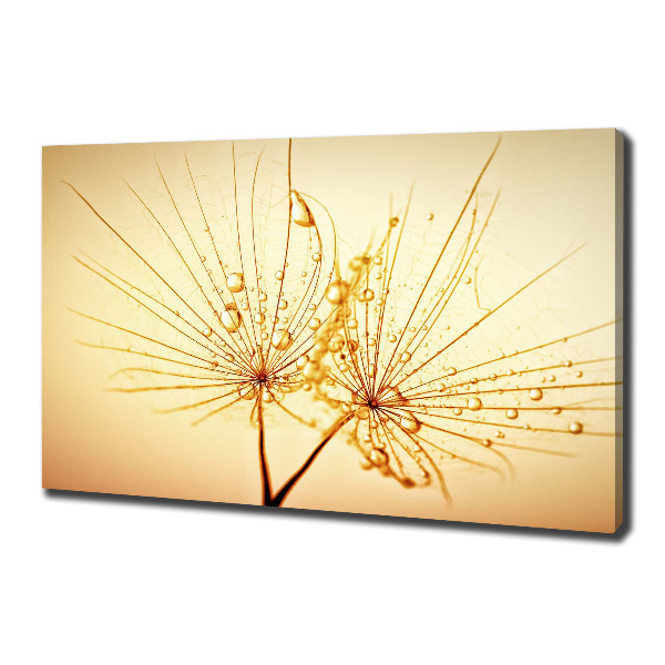 Canvas wall art Dandelion seeds