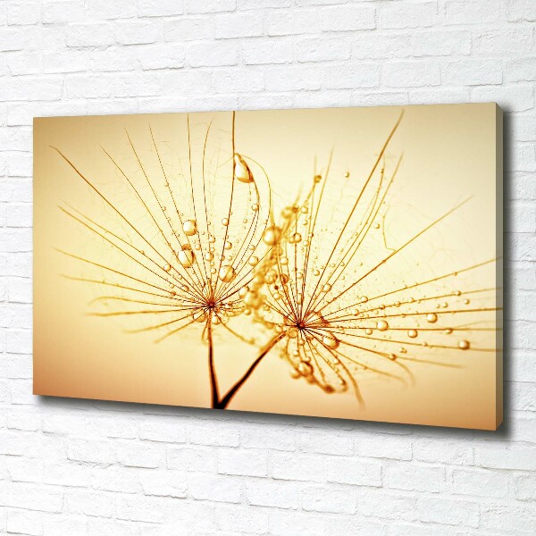 Canvas wall art Dandelion seeds