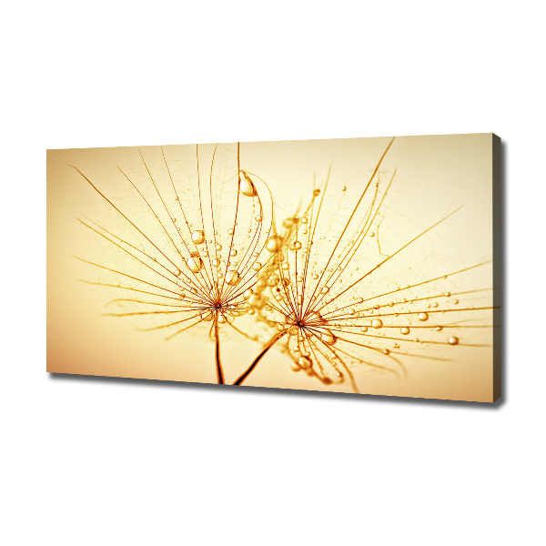 Canvas wall art Dandelion seeds