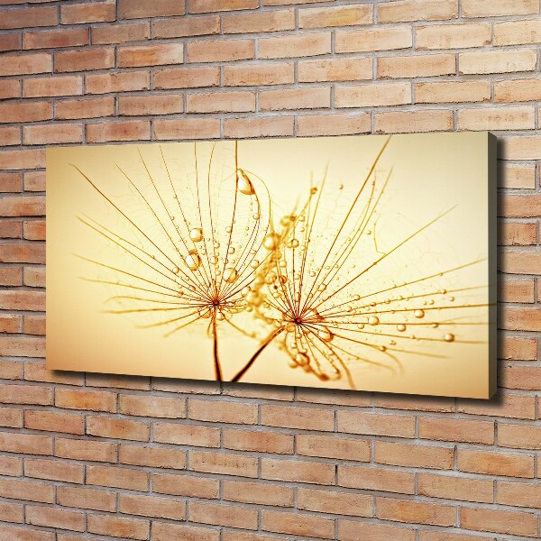 Canvas wall art Dandelion seeds