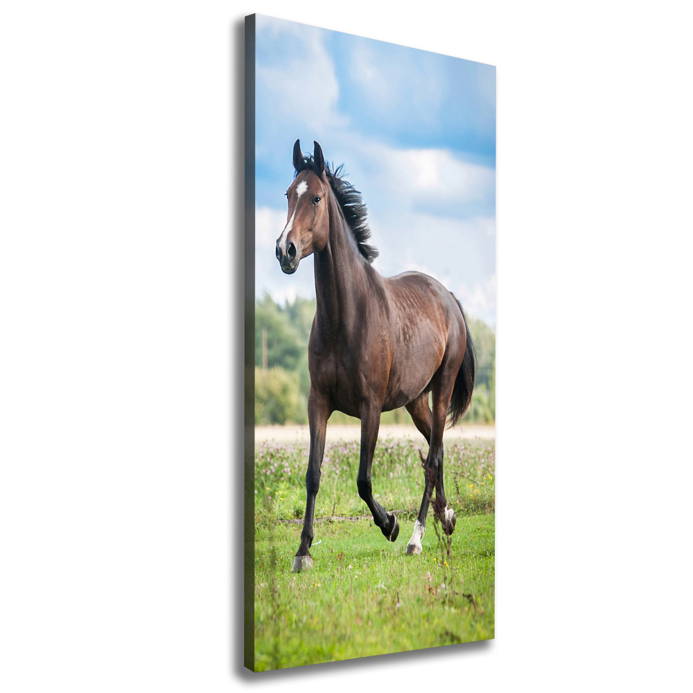 Canvas wall art Horse