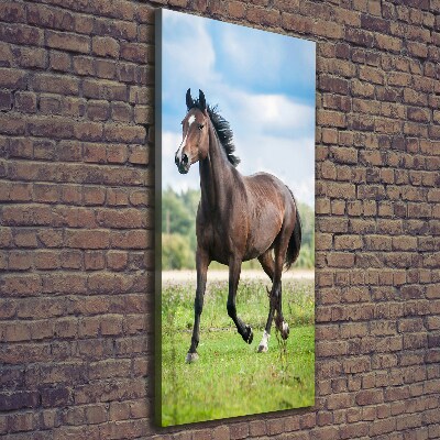 Canvas wall art Horse