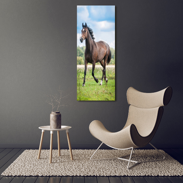 Canvas wall art Horse