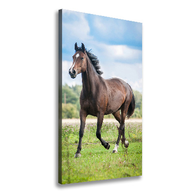 Canvas wall art Horse