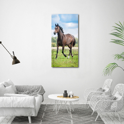 Canvas wall art Horse