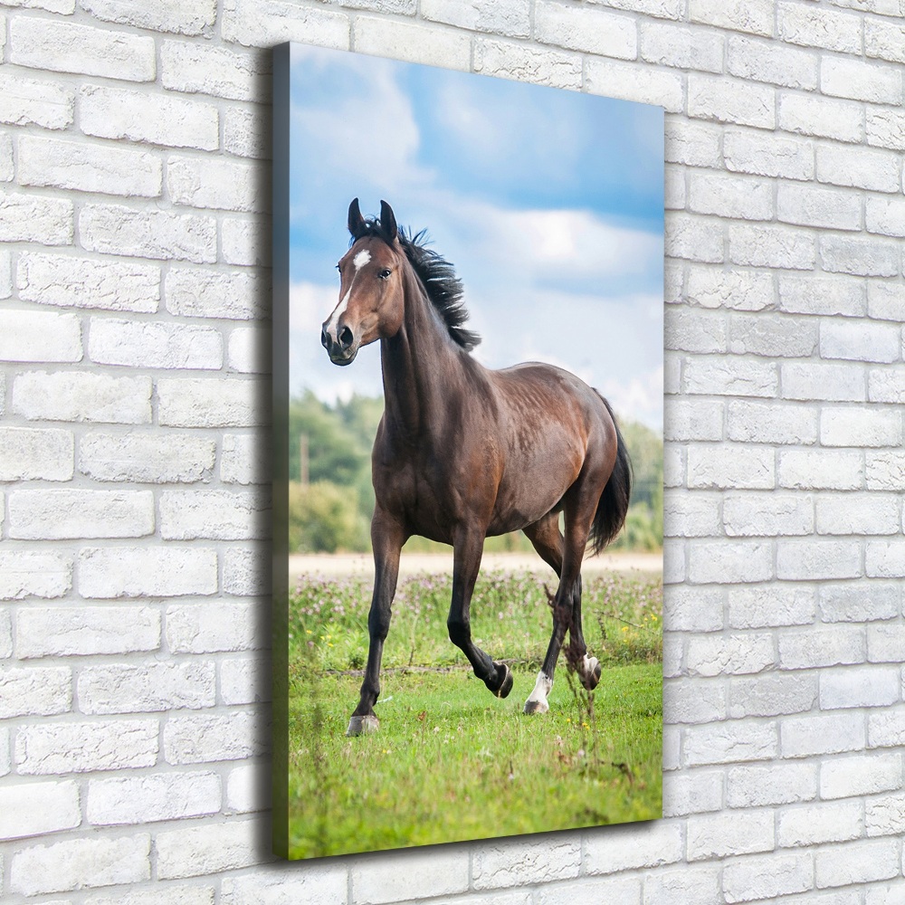 Canvas wall art Horse