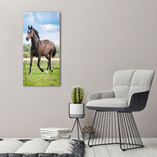 Canvas wall art Horse