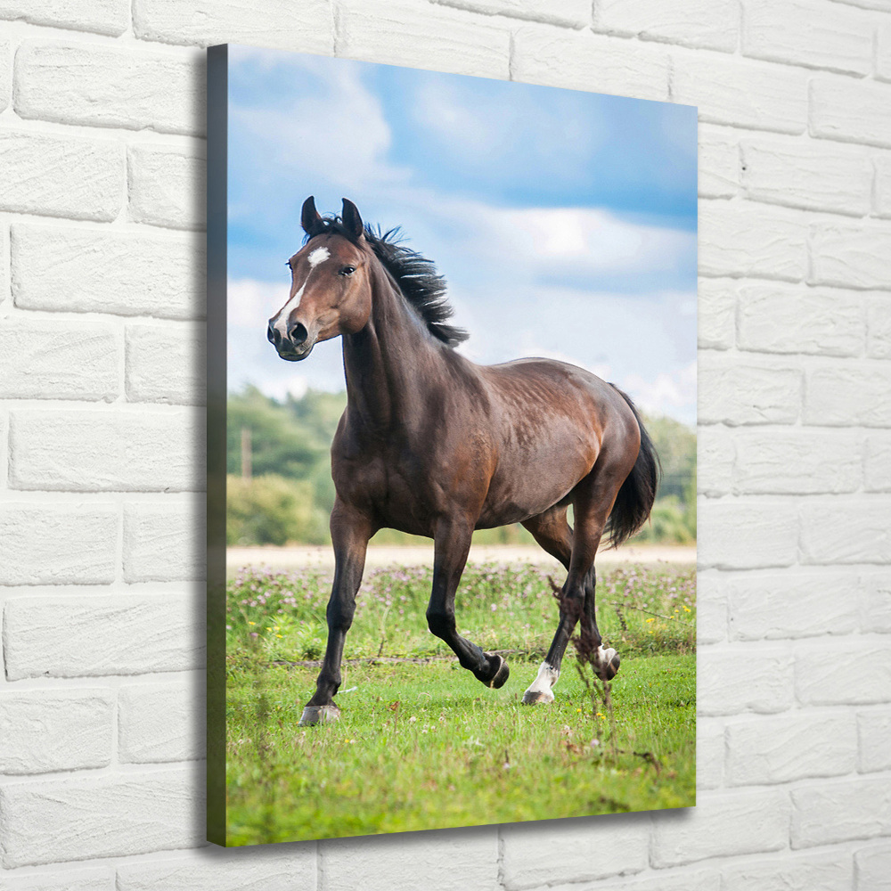 Canvas wall art Horse