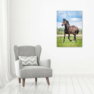 Canvas wall art Horse