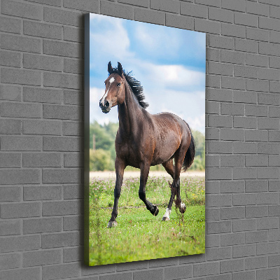 Canvas wall art Horse