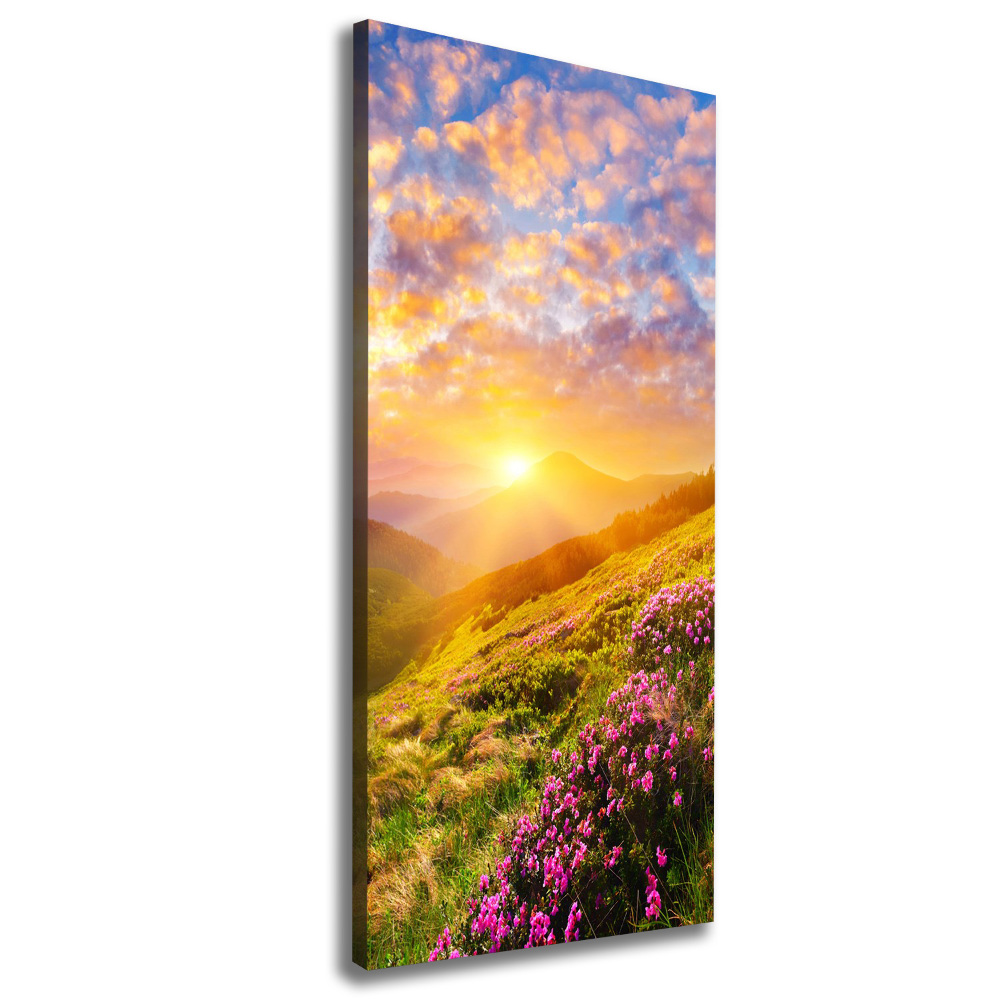 Wall canvas art Sunset of the mountain